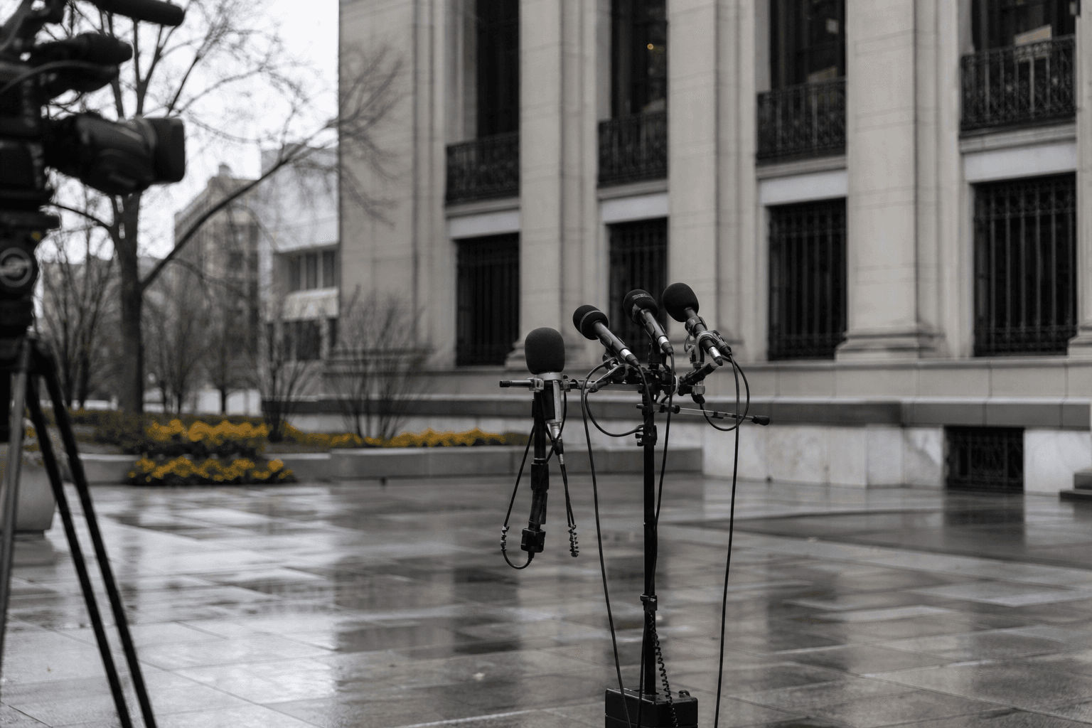 Cleveland-Fed-Chefin Hammack schließt sich den Falken an: Zinserhöhungswahrscheinlichkeit springt auf 55 Prozent